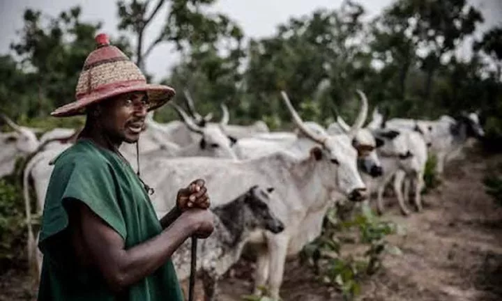 Tension in Abia as monarch raises alarm over land acquisitions by suspected herdsmen Tension in Abia as monarch raises alarm over land acquisitions by suspected herdsmen