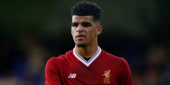 Dominic-Solanke-Liverpool