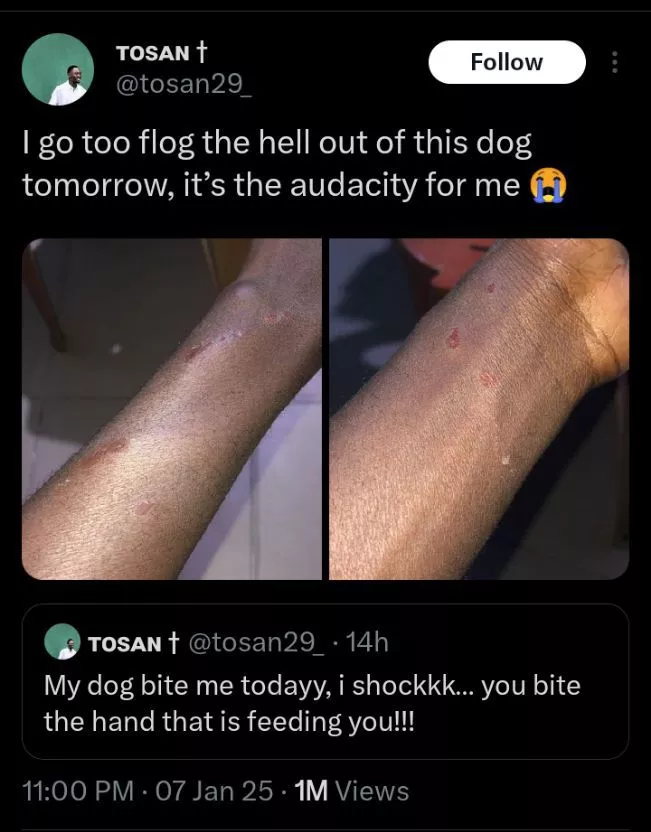 'I go too flog this dog', man reacts to his dog biting him