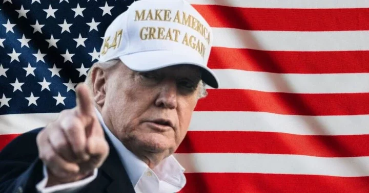 Donald Trump Calls America 'Stupid' and 'Dysfunctional' for Allowing Birthright Citizenship Donald Trump Calls America 'Stupid' and 'Dysfunctional' for Allowing Birthright Citizenship