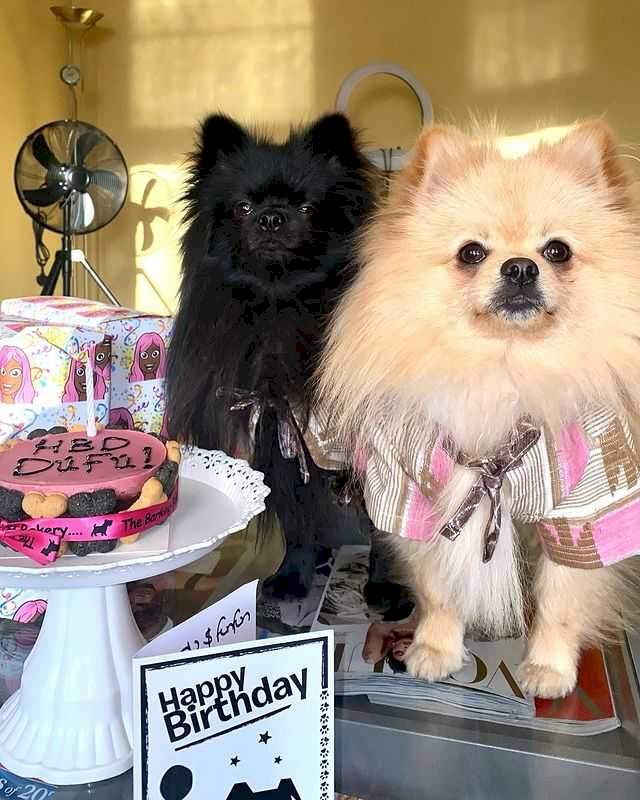'You've brought out the mother in me' - Cuppy eulogizes her dogs, Fufu and Dudu as they turn one (Photos)