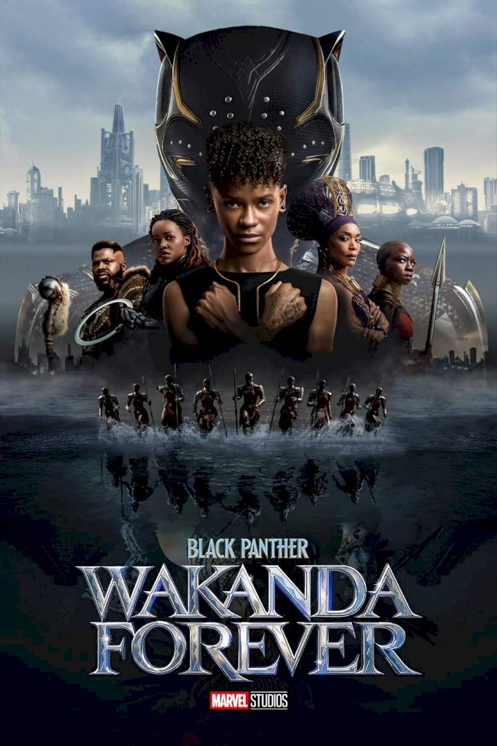 DOWNLOAD Black Panther: Wakanda Forever (2022) Netnaija