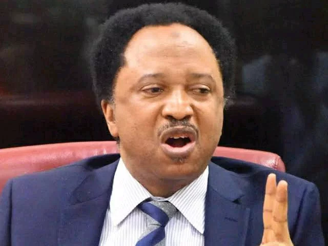 FG N35k bonus: "You never see pounded Yam for plate, you come dey ask for more soup" - Shehu Sani