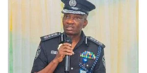 Bayelsa, Kogi, Imo polls: Take pictures of officers without tag on election day - IGP