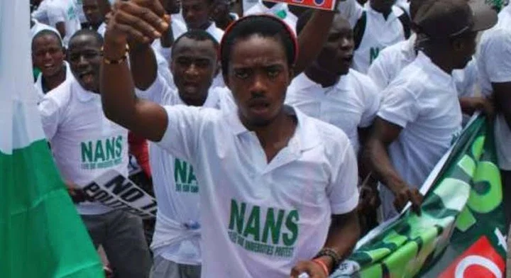 NANS disappointed as FG suspends student loan take-off