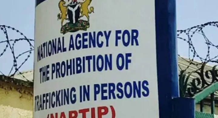 Trafficking in Persons Act condemns the employment of a child as a domestic worker [quick news africa]