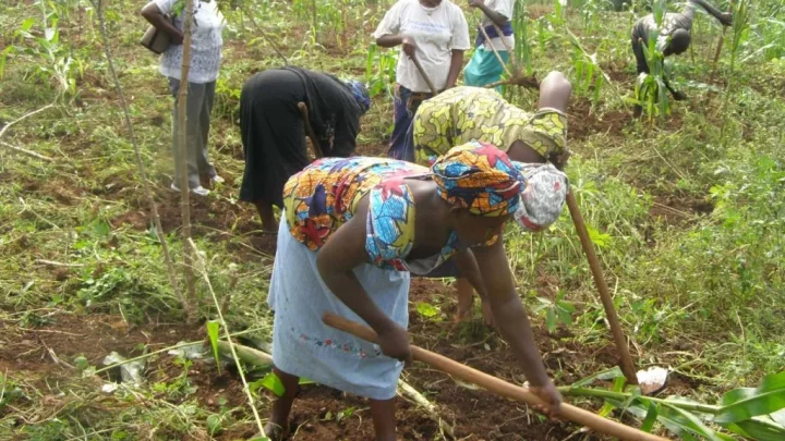 Tiv farmers protest alleged land seizure by Nasarawa government Tiv farmers protest alleged land seizure by Nasarawa government