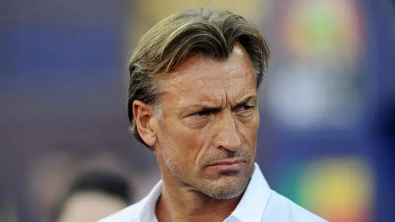 I almost accepted Super Eagles job - Herve Renard