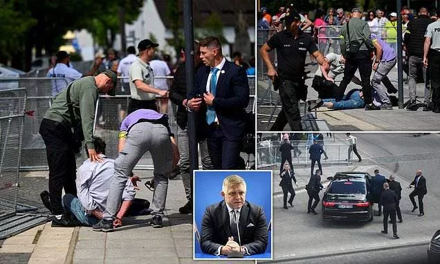 Slovakian Prime Minister in life threatening condition after being shot by a 71-year-old assassin (photos/videos)