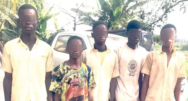 Five secondary school students arrested for allegedly gang raping female colleagues inside bush