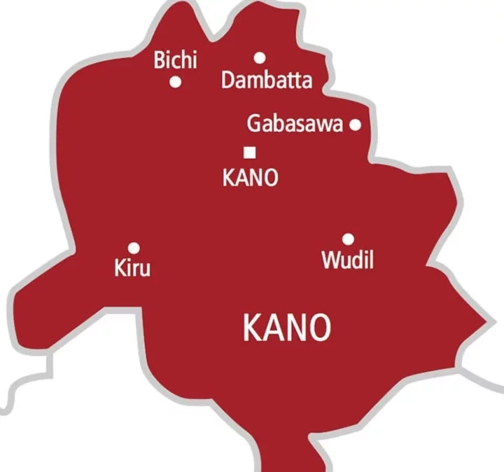 Confusion as stray bullet hits journalist at Kano Govt House