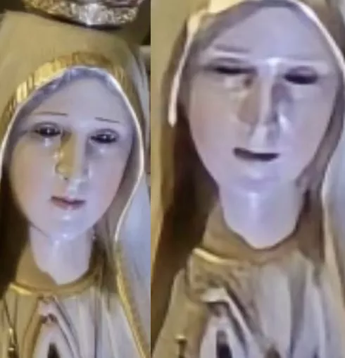 Miracle in US church as Virgin Mary statue is filmed 'blinking' (video)