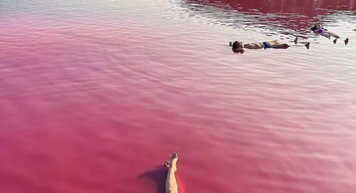 Willing to swim in this beautiful pink lake? It may have healing properties