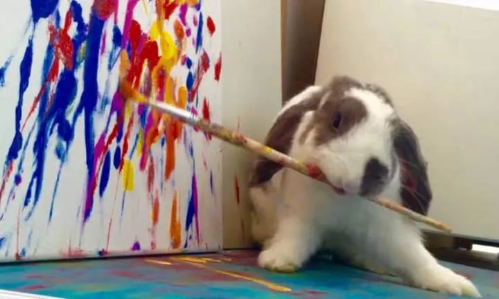 Did you know these 10 animals can create art?