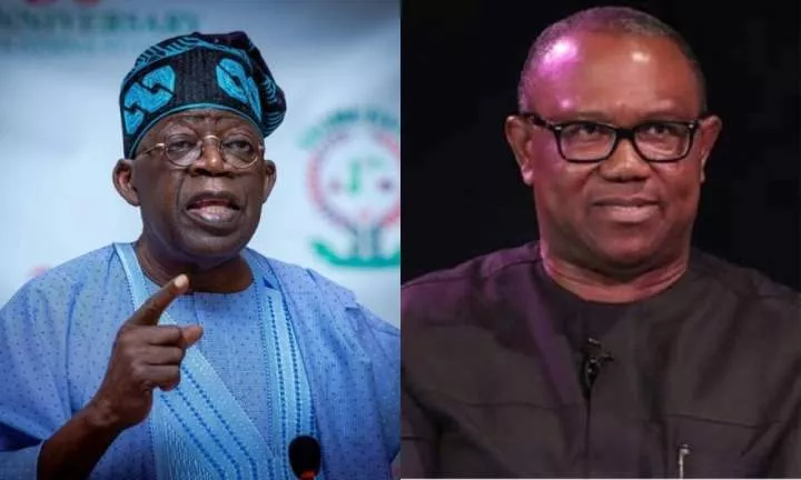 Tinubu's victory: Peter Obi asking for non-existent documents against president - INEC
