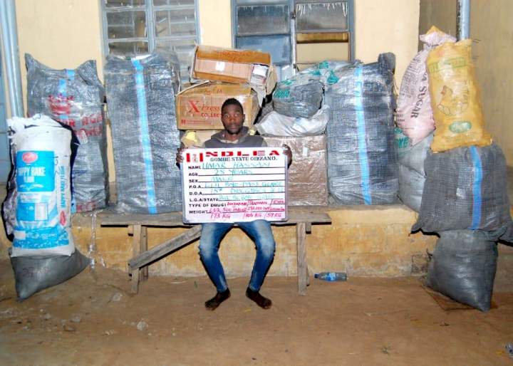 NDLEA uncovers underground drug bunk used by suspected drug kingpin to store banned substances in Delta  (video)