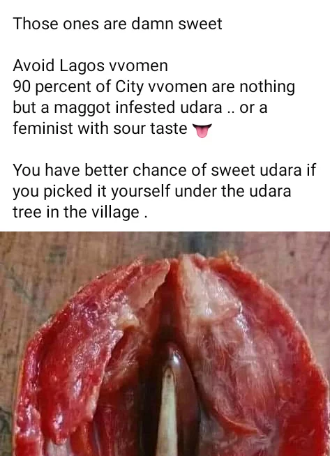 'Avoid Lagos women, they are like maggot-infested Udara' - Nigerian man warns