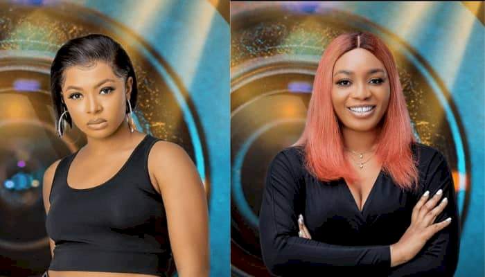 BBNaija: Liquorose was wrong over heated argument with Beatrice - WhiteMoney
