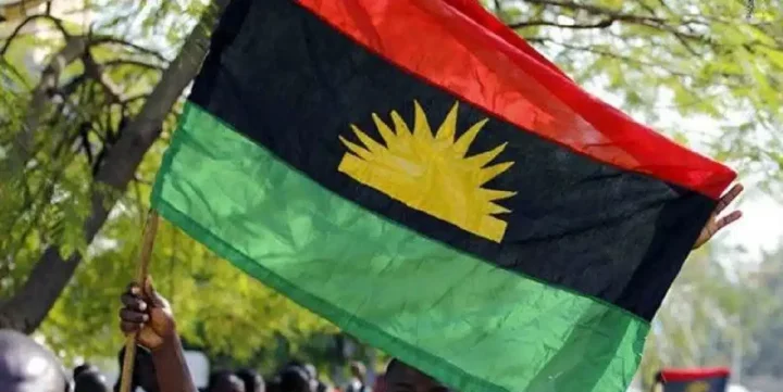 "Most Igbos do not believe in Biafra" - Ojukwu's brother speaks on unity