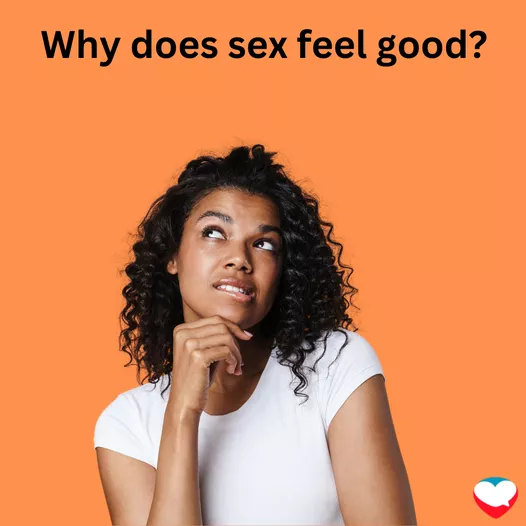 Why does sex feel good?