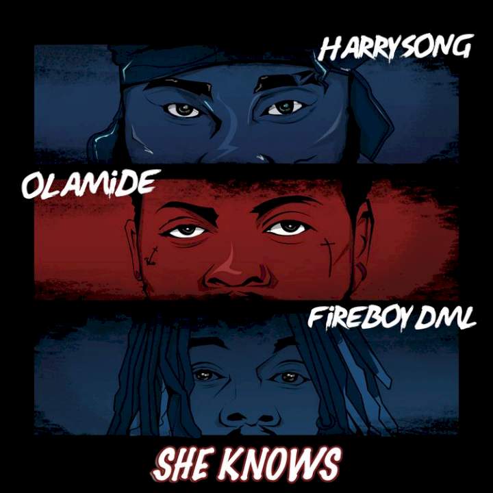 Harrysong - She Knows (feat. Fireboy DML & Olamide)