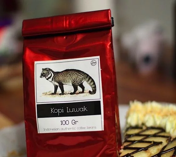 Did you know the world's most expensive coffee is made from animal poop?