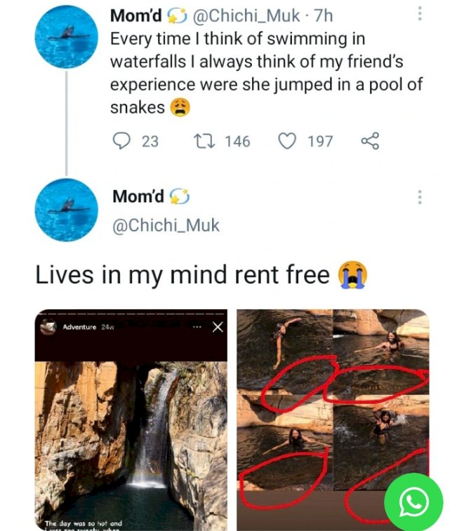 How I jumped into a pool not knowing there were snakes inside – Lady shares
