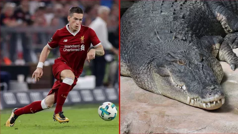 Ex-Liverpool player offers N2.8m for anyone who can babysit his crocodile