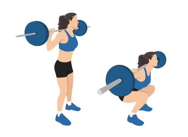 illustration of barbell back squat