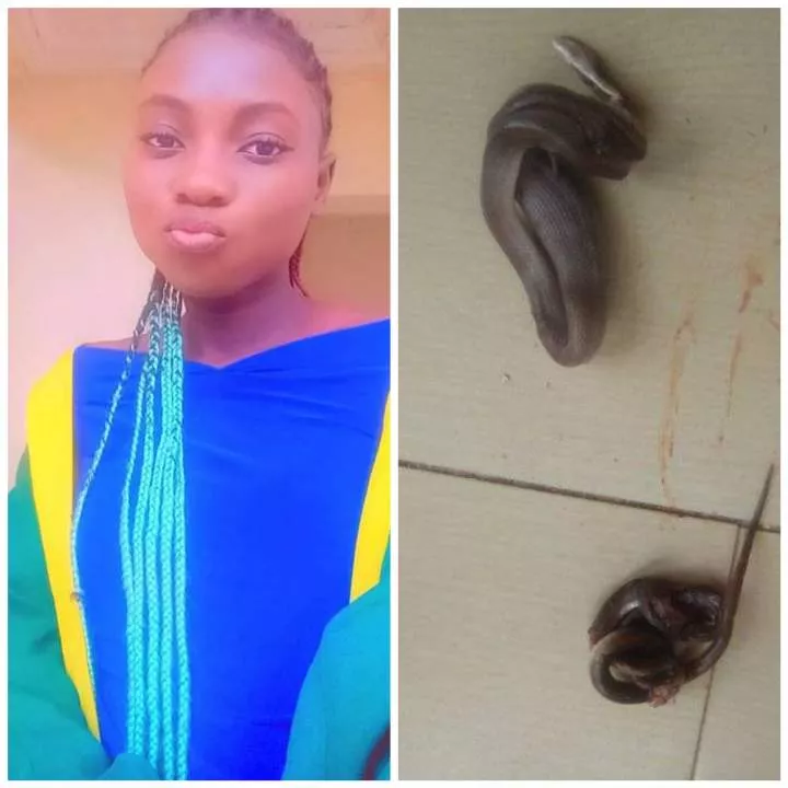 Nigerian lady appreciates God for saving her life after finding two snakes in her bedroom
