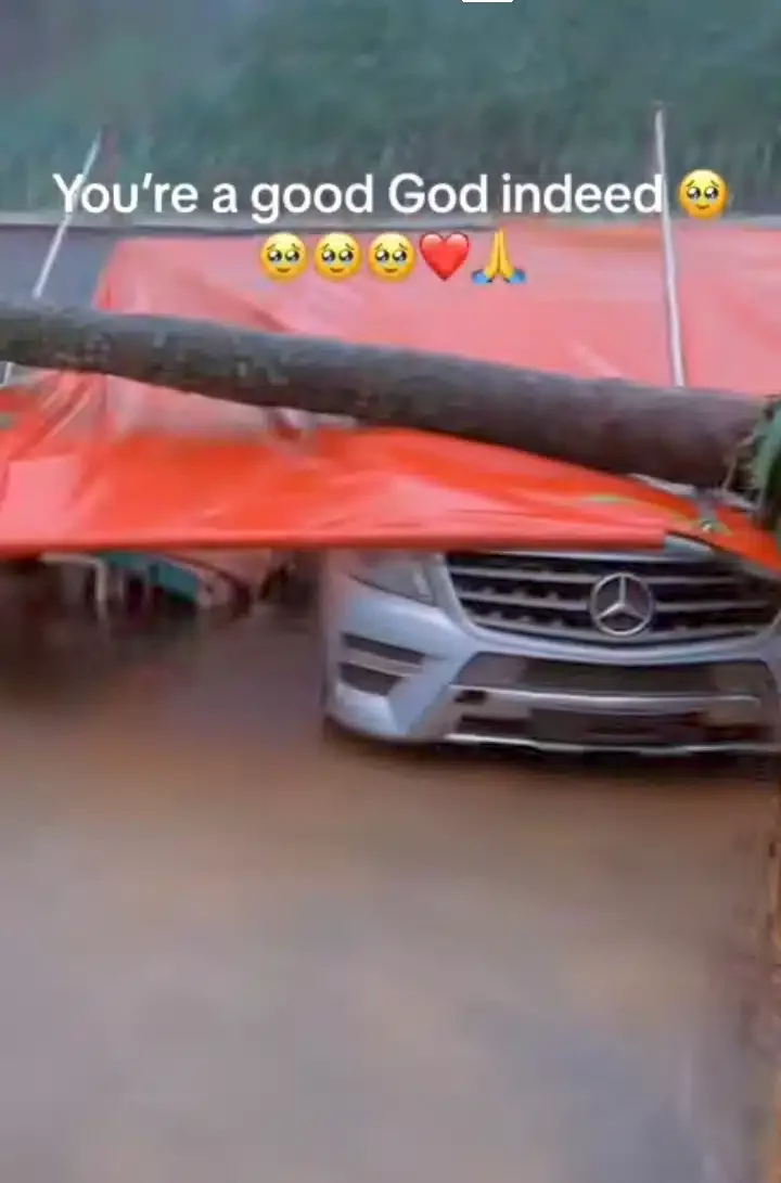 'My mum was standing there, but got a call and rushed to pick it' - Man thanks God for life after tree fell on his Mercedes Benz