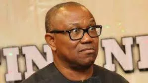 Nationwide Protest: Presidency Dares Peter Obi