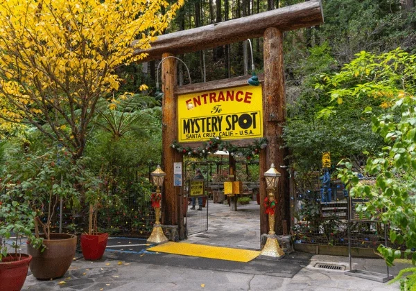 Mystery Spot, California, USA 