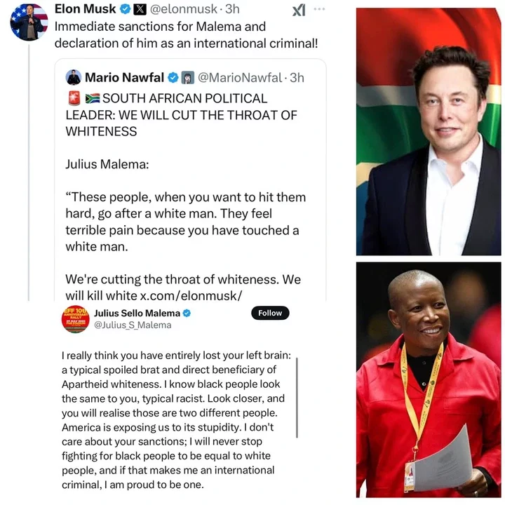 I think you have lost your left brain - South African politician Julius Malema slams Elon Musk after he called for him to be declared an ?international criminal?