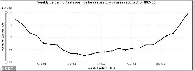 The above CDC graph shows an increase in positive HMPV tests at the end of December 2024