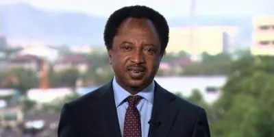 How Many African Countries Has World Bank Taken To 'Promise Land'? - Shehu Sani Questions Tinubu's Policies