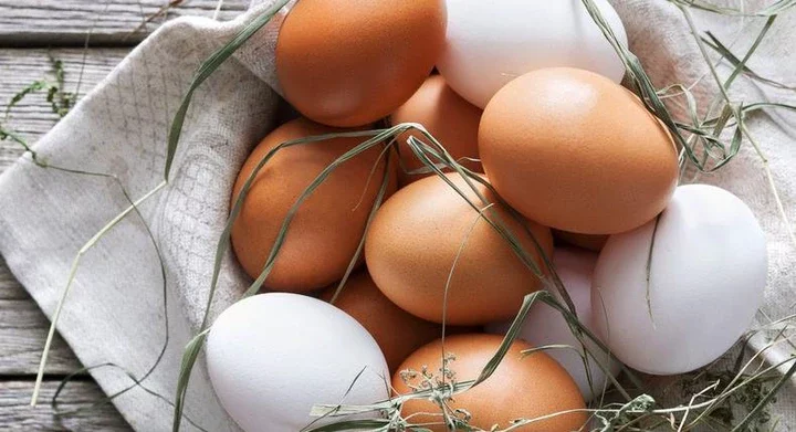 What's the difference between white and brown eggs?