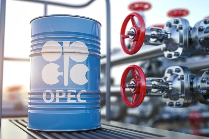 OPEC clears Dangote, details real reason for Nigeria's high fuel costs