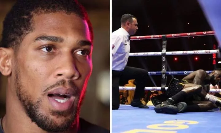 Anthony Joshua gives retirement advice to Deontay Wilder after Zhilei Zhang defeat