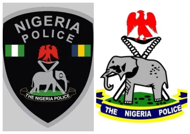 Police arrest seven criminal suspects in Enugu