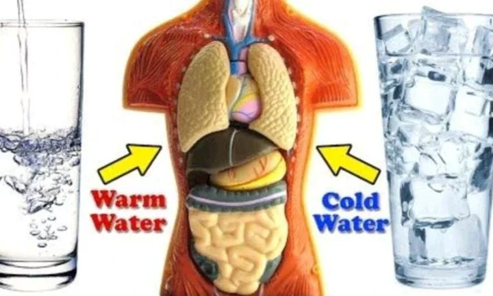 When You Drink Hot Water Every Day, This Is What Happens to Your Body