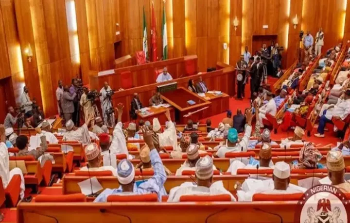 Senate passes National Minimum Wage bill into law