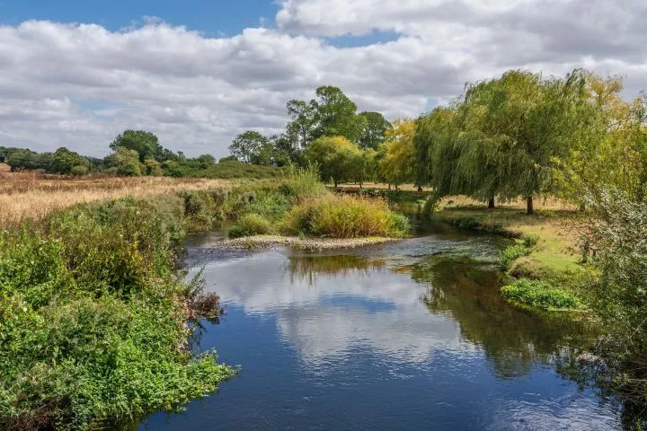 The Dorset Frome is one of only 200 chalk streams in the world,