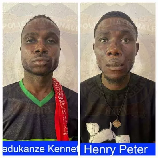 Nigerians arrested in Haiti for faking nationality