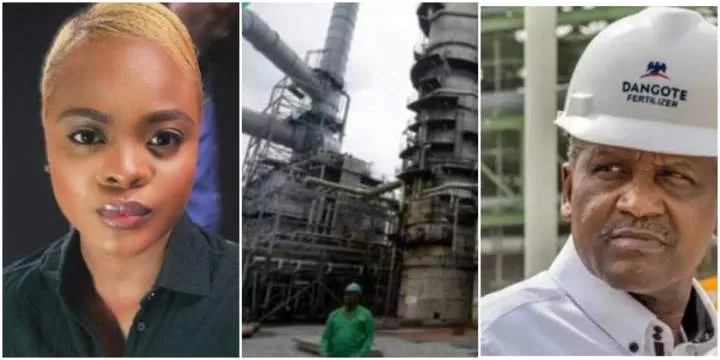 "The competition is tough" - Lady leaks secret as another billionaire, after Dangote, begins his refinery