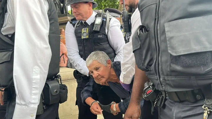 Arrests after protest in support of Palestine Action, police say Arrests after protest in support of Palestine Action, police say