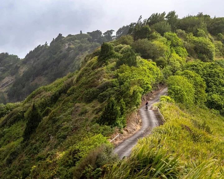 Image may contain Path Slope Road Outdoors Nature Plant Vegetation Person Trail Countryside Hill and Bicycle