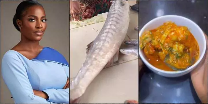 "Someone salary for a meal" - Hilda Baci causes a stir with soup made with N60K fish (Video)