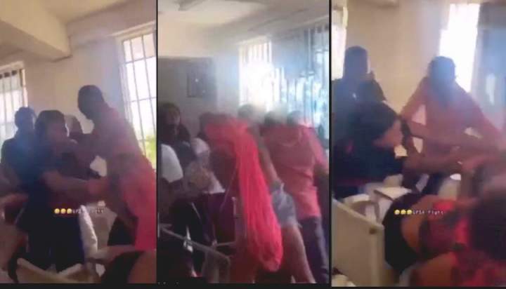 Female university students expose their underwear as they fight dirty in lecture hall (video)