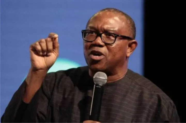 Spending N60 billion for the purchase of SUV for about 400 legislators is a continuation of the troubling trend in our nation - Peter Obi